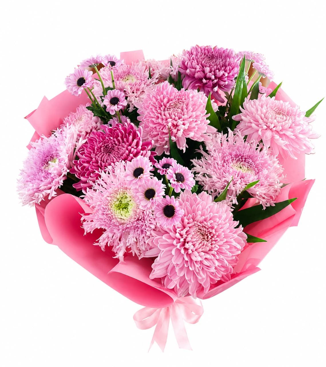Chrysanthemum fresh flower