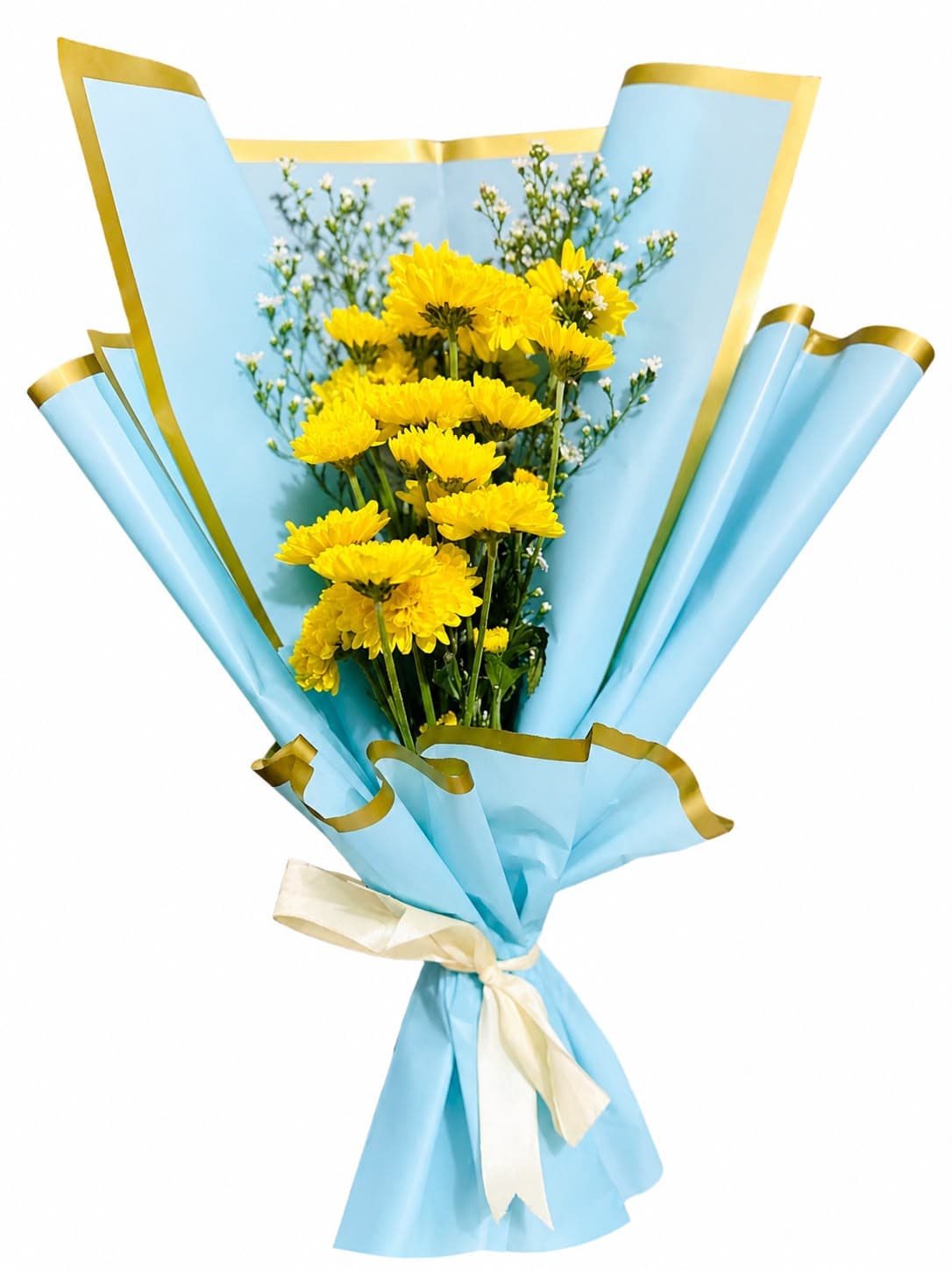 Chrysanthemum flower