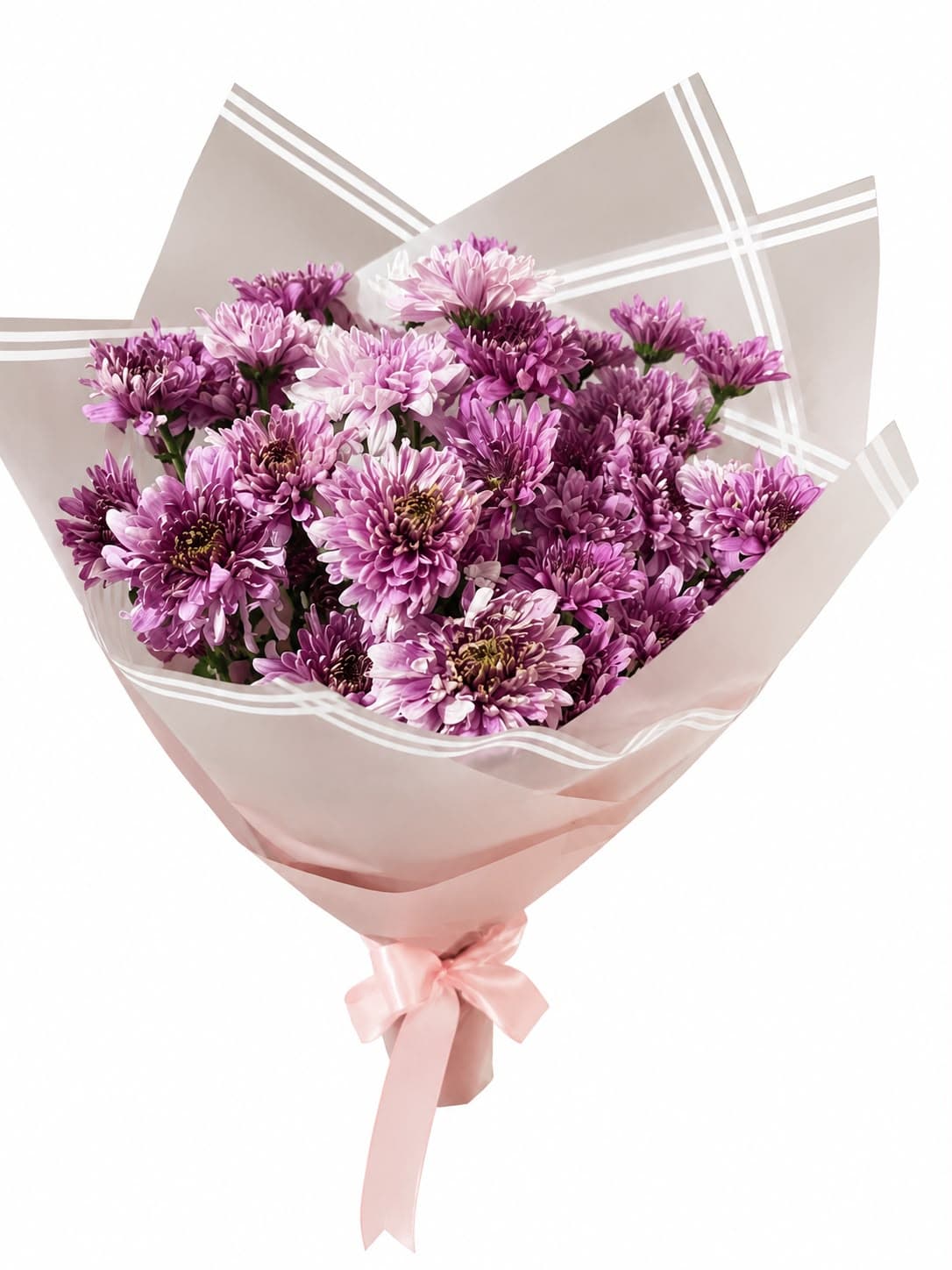 Chrysanthemum fresh flower